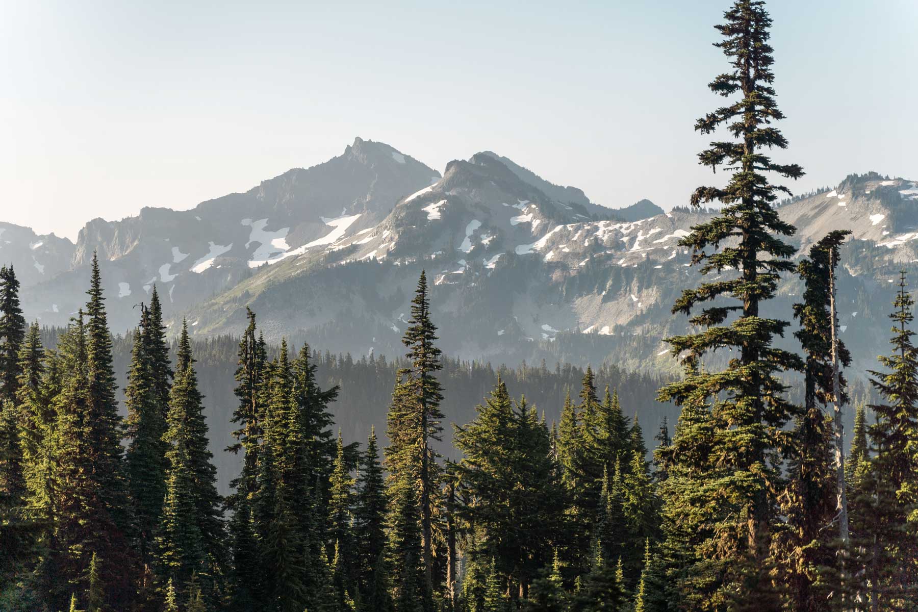 Hiking the Skyline Trail Loop in Mt. Rainier: All You Need to Know