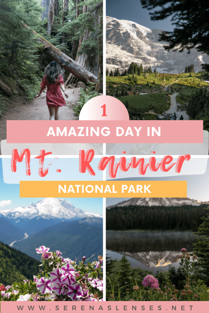 Pinterest Pin: How to spend a day in Mount Rainier National Park with 4 photos of different hikes and attractions in Mt. Rainier NP.