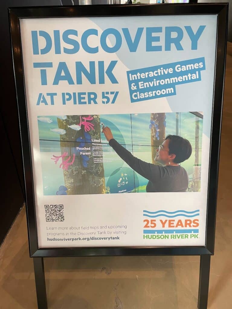 Discovery tank at Pier 57