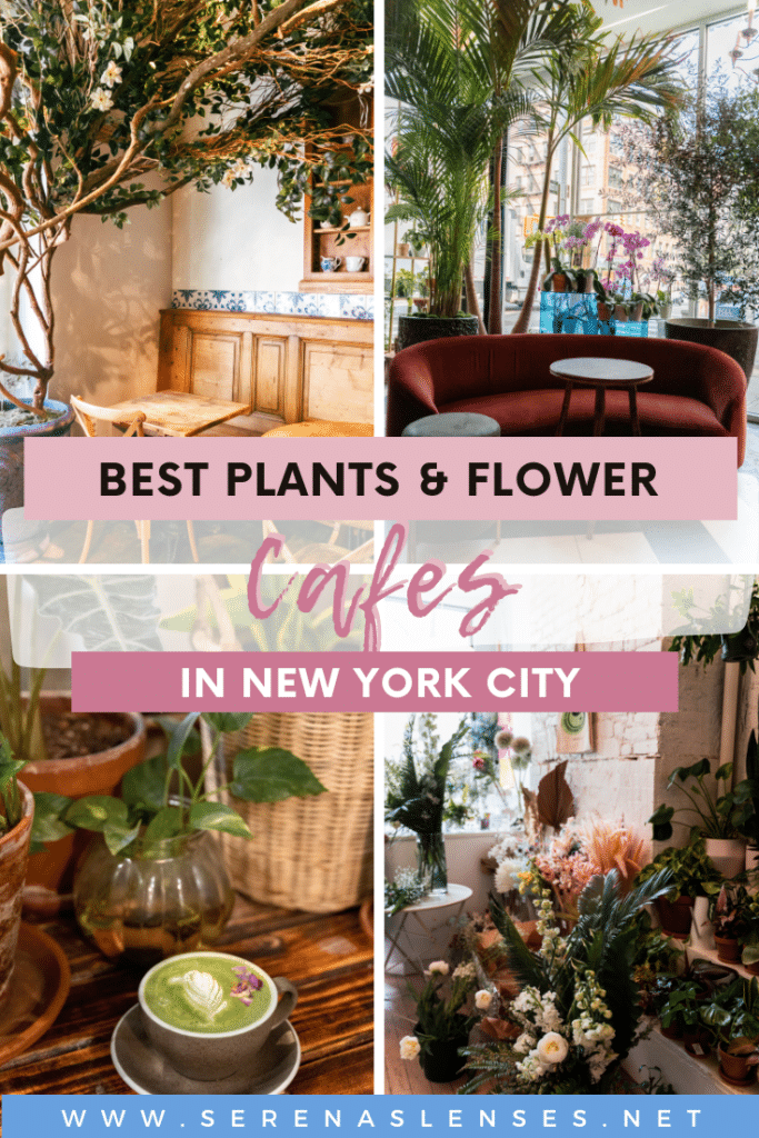 Best Plants and Flower Cafes in NYC Pinterest