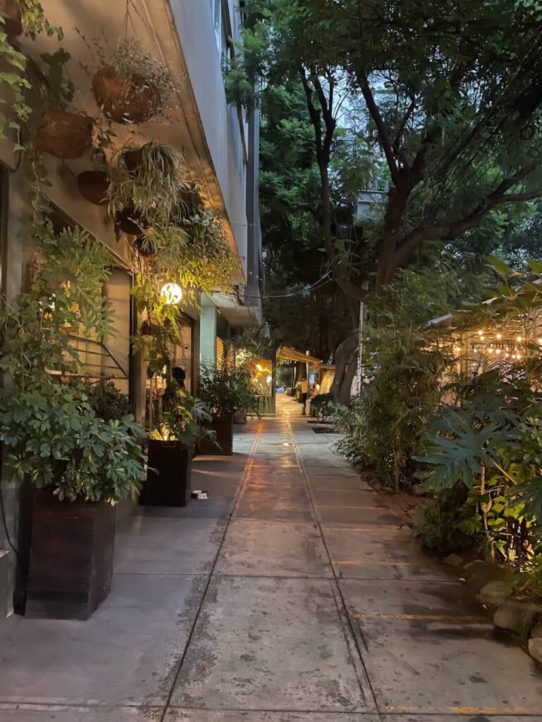 Mexico City streets of La Condesa neighorhood