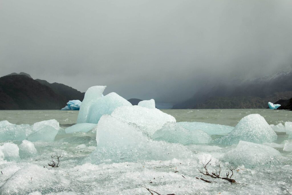 Lago Grey Glacier
