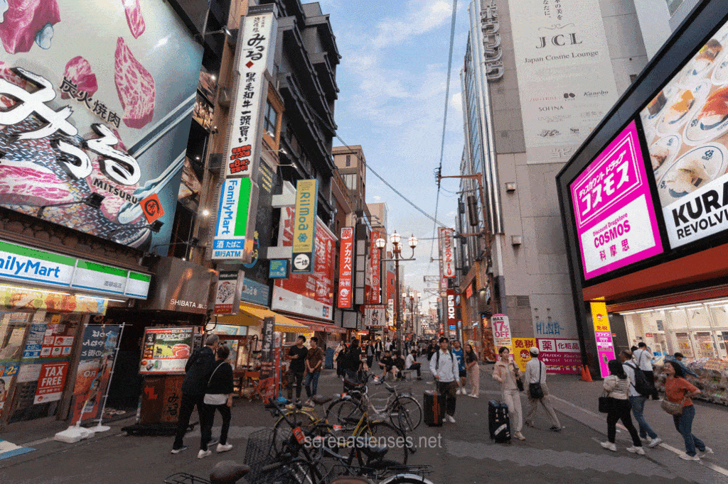 Osaka-Itinerary-Dotonbori-streets